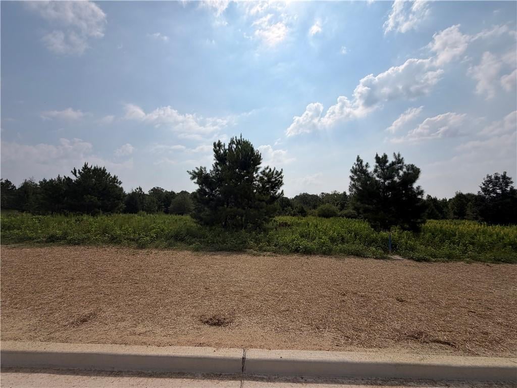 Lot 6 Homestead, Smiths Station, AL, 36877