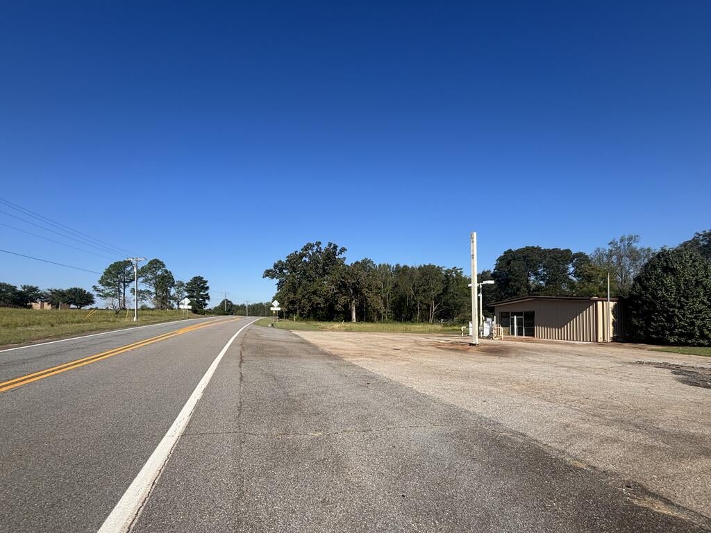 669 Highway 0030, Buena Vista, GA, 31803, Ga Hwy 30 frontage