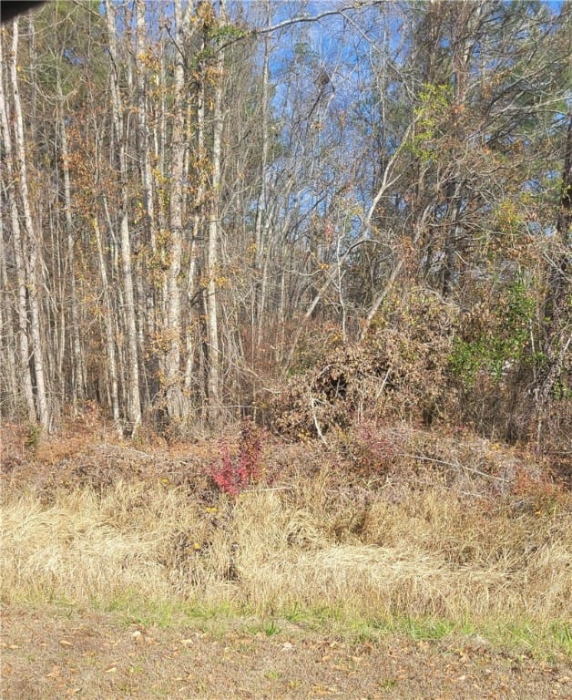 00 COUNTY ROAD 47, Tuskegee, AL, 36083