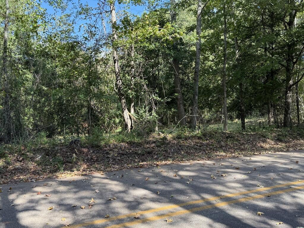 0 Hudson Dr, Hamilton, GA 31811