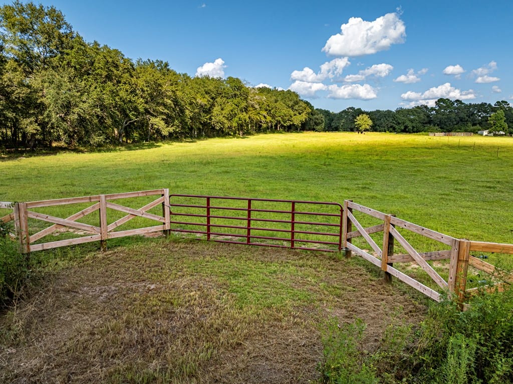 408 Peafowl Road, Sylvester, GA, 31791 — Photo 3