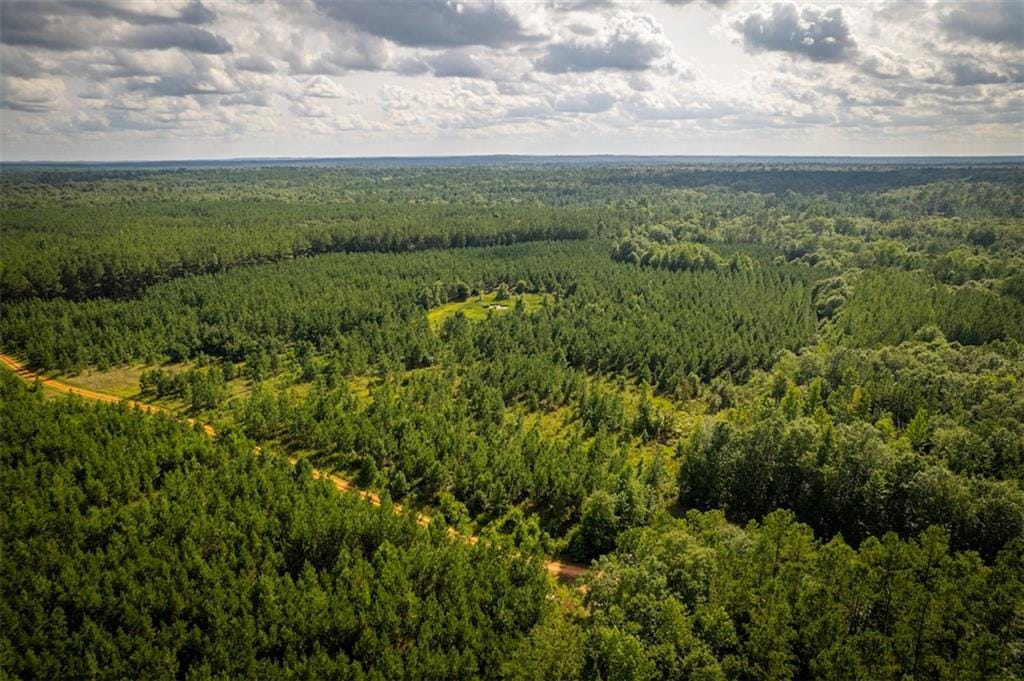 0 US HWY 431, Pittsview, AL, 36871 — Photo 2