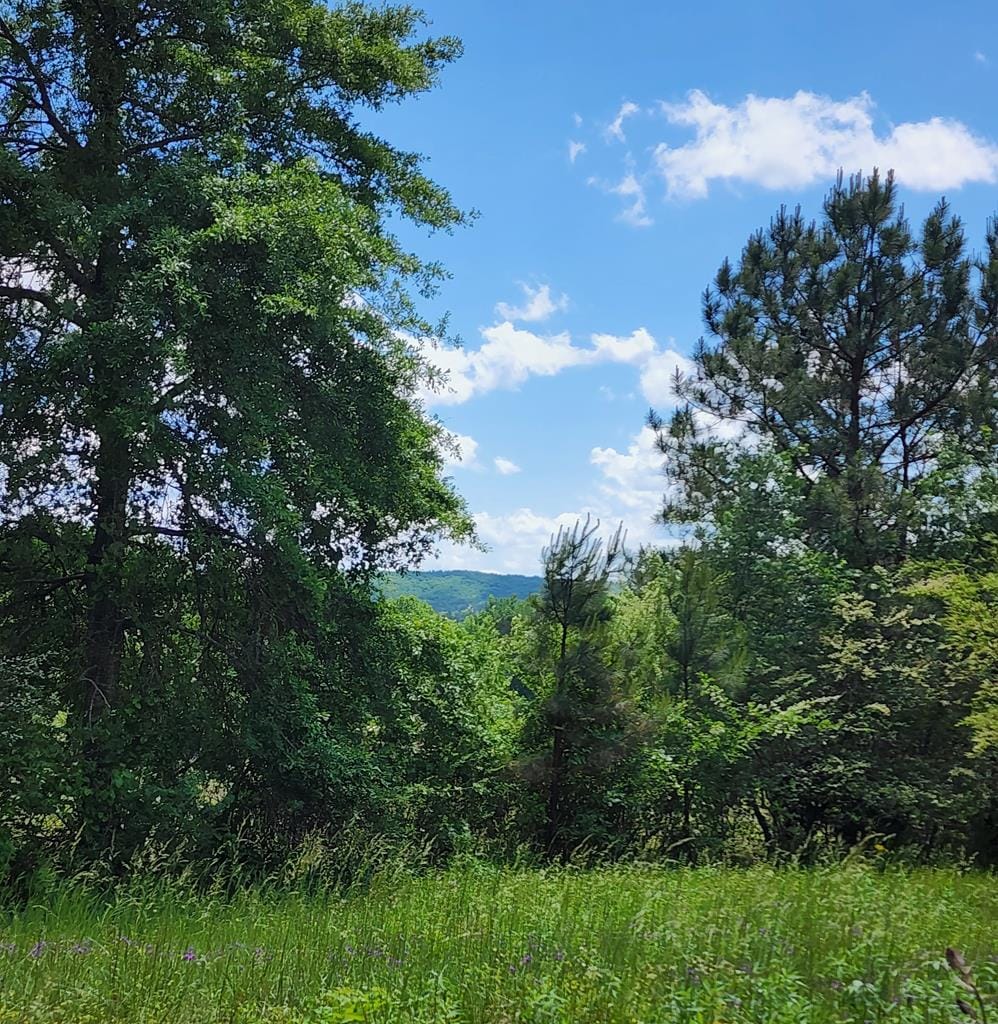 0 L Street, Pine Mountain Valley, GA, 31823 — Photo 1