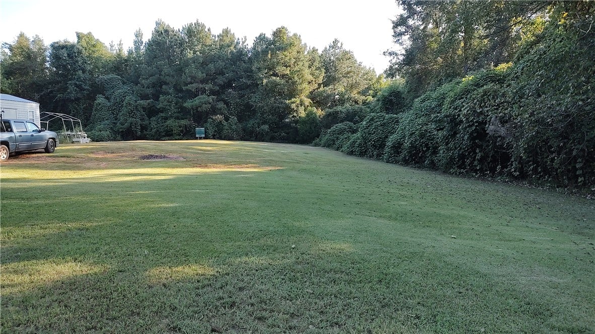 10555 Co Rd 2, Auburn, AL 36879, Shot of the backyard