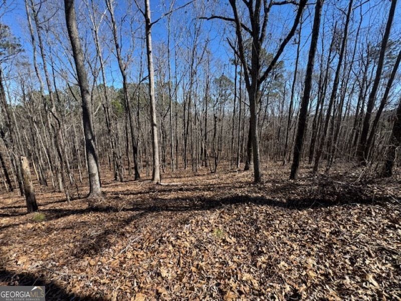 0 Brown Creek Road, Shiloh, GA, 31826