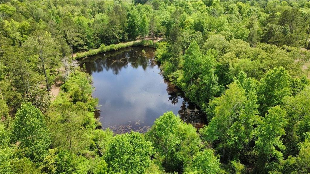 5591 Sandfort Rd, Seale, AL 36875
