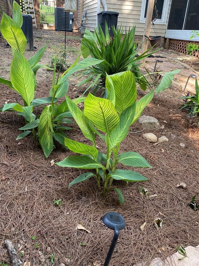 3376 Shirehill Lane, Columbus, GA, 31909-4707 — Photo 3