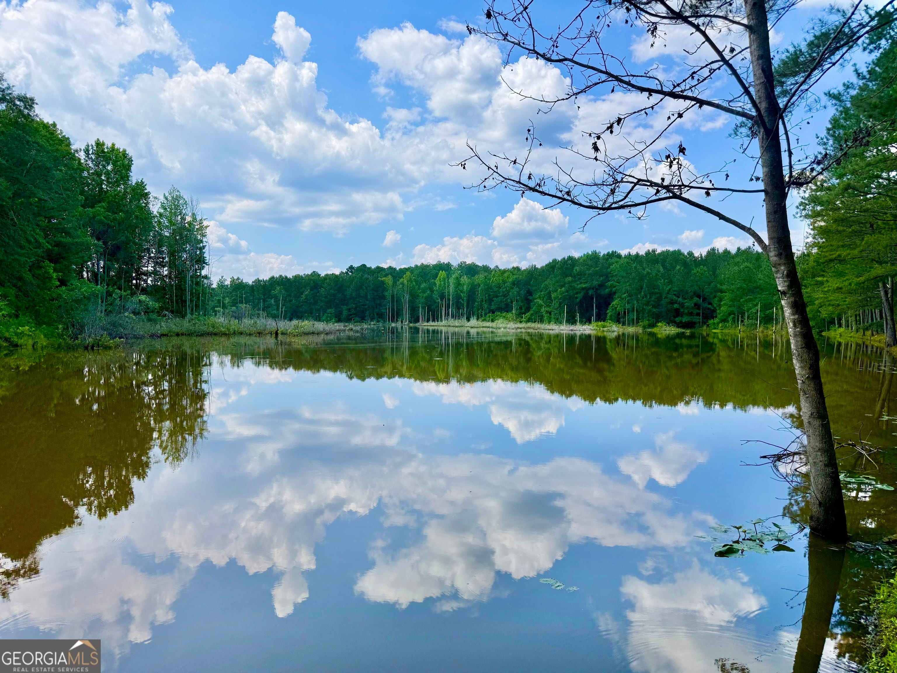47 Pauline, Reynolds, GA, 31076