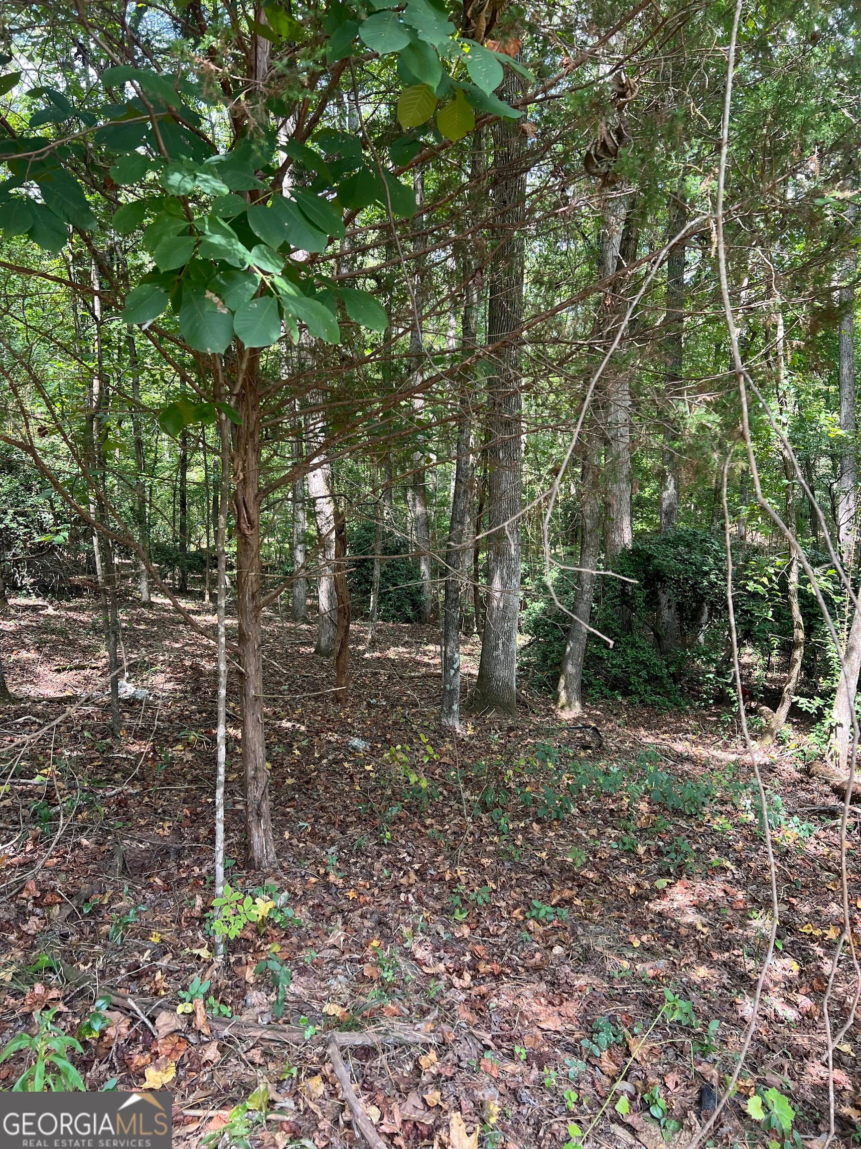 0 Barouche, Thomaston, GA, 30286