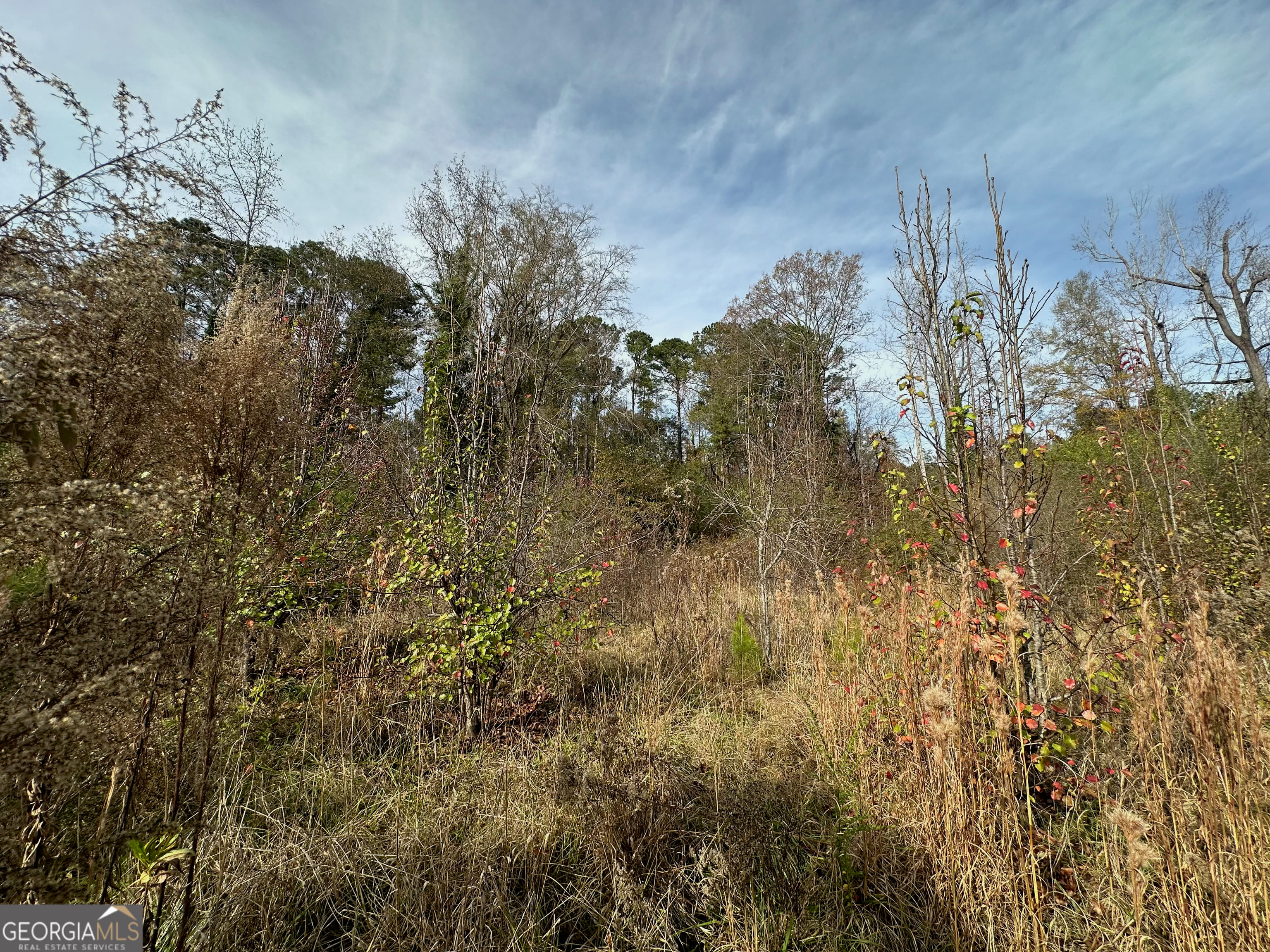 567 George W Towns Road, Talbotton, GA, 31827