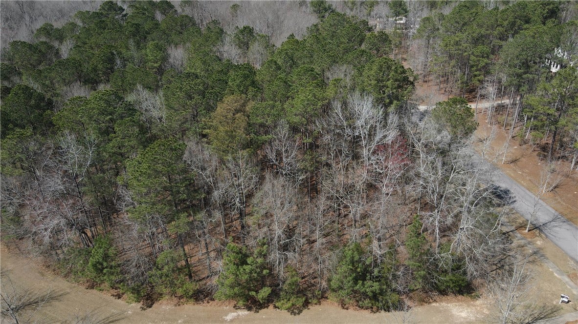 2562 Blackwood Court, Auburn, AL 36830