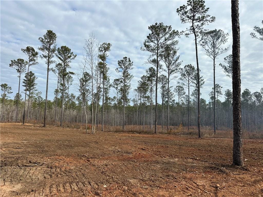 Lot A2 Lee Road 278, Salem, AL, 36874
