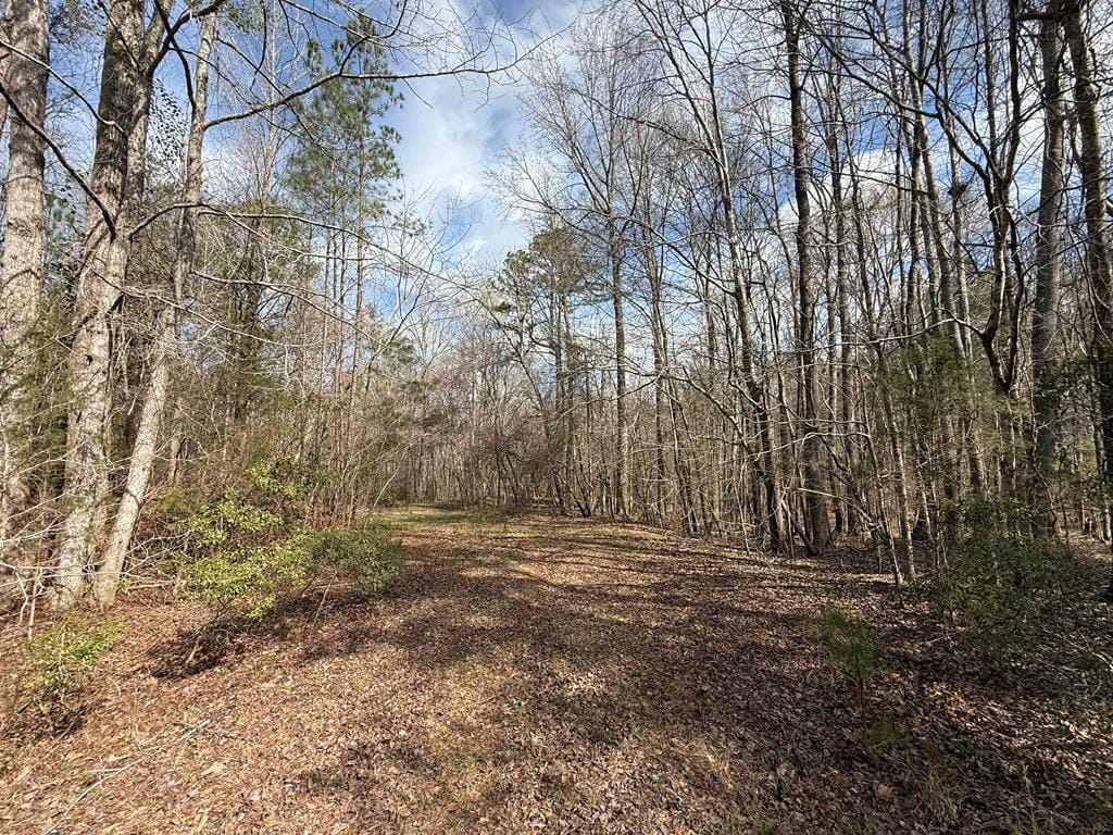 21 Acres Ga Highway 0085, Waverly Hall, GA, 31831