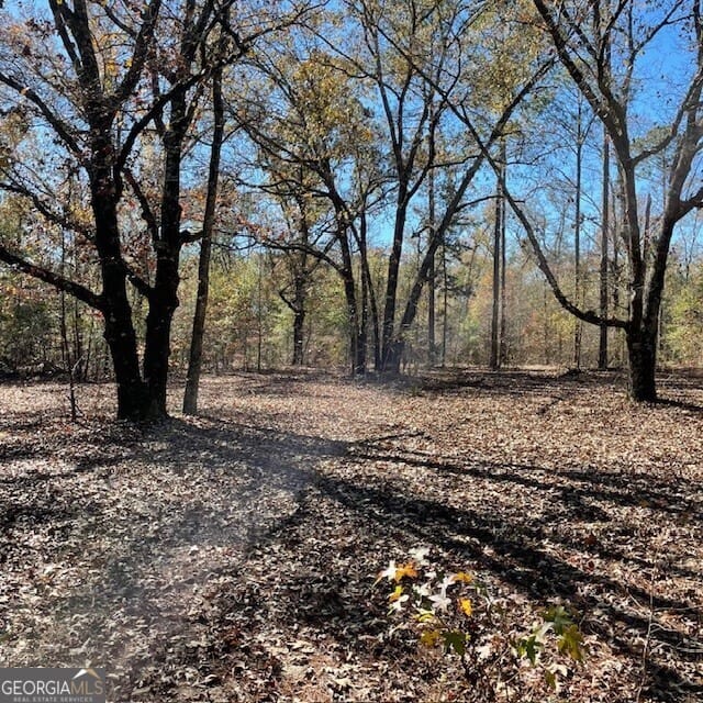 Pineville Rd, Buena Vista, GA