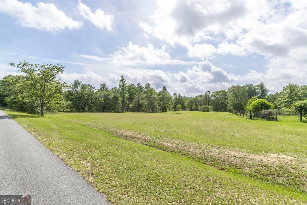 0 Georgia Road, Butler, GA, 31006