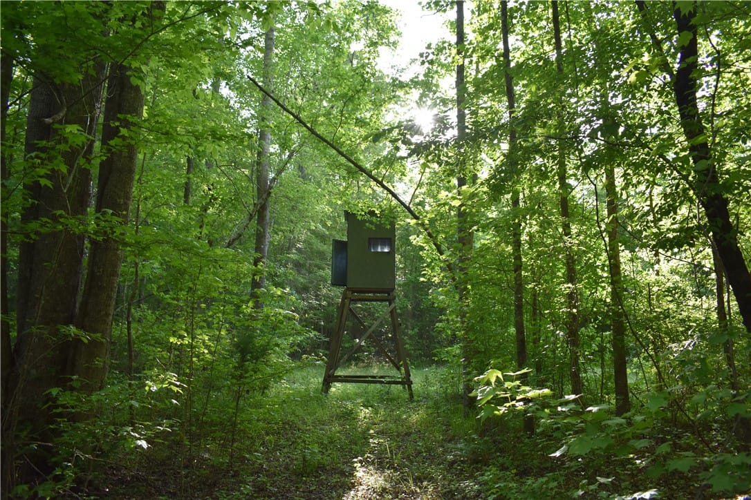 0 JACKSON, Camp Hill, AL, 36850