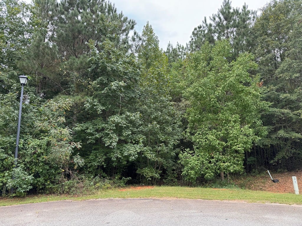 Lot 19 Bellinger Estates, Fortson, GA, 31808 — Photo 2