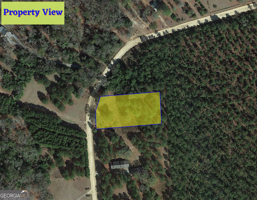 1 Jenny Lynn, Fort Gaines, GA, 39851