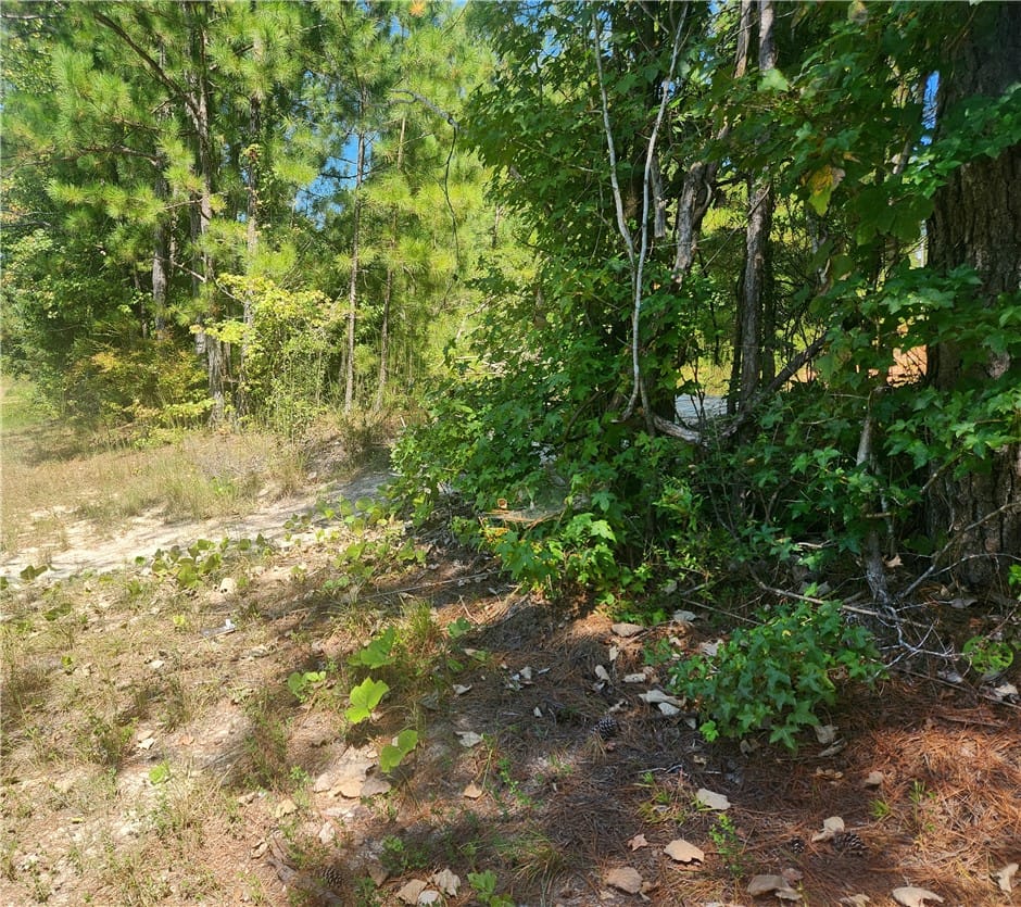 00 COUNTY ROAD 36, Tuskegee, AL, 36083