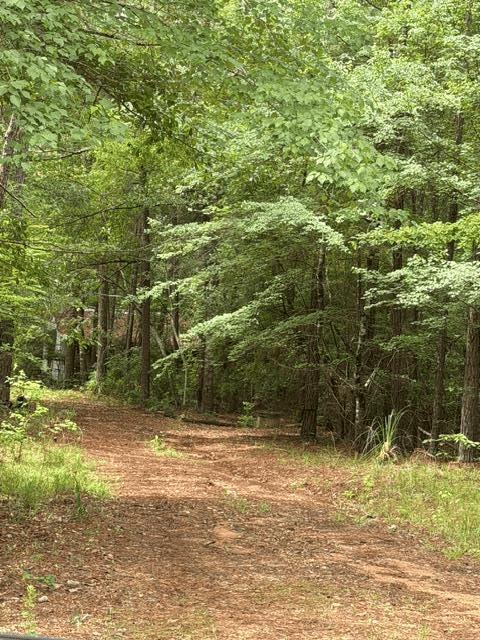 53 Robinson Rd, Seale, AL 36875, Main View