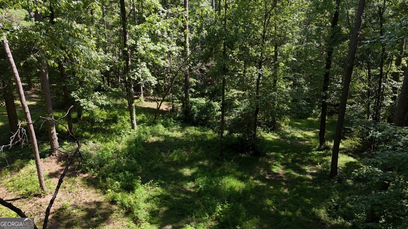115-LOT 101/ PA Shoal Creek Dr, Sharpsburg, GA, 30277