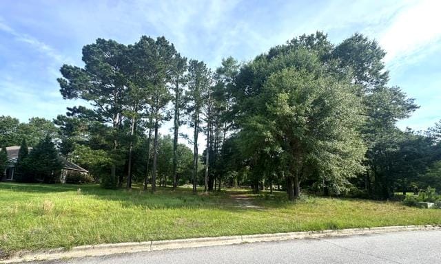 1315 River Pointe Drive, Albany, GA, 31701