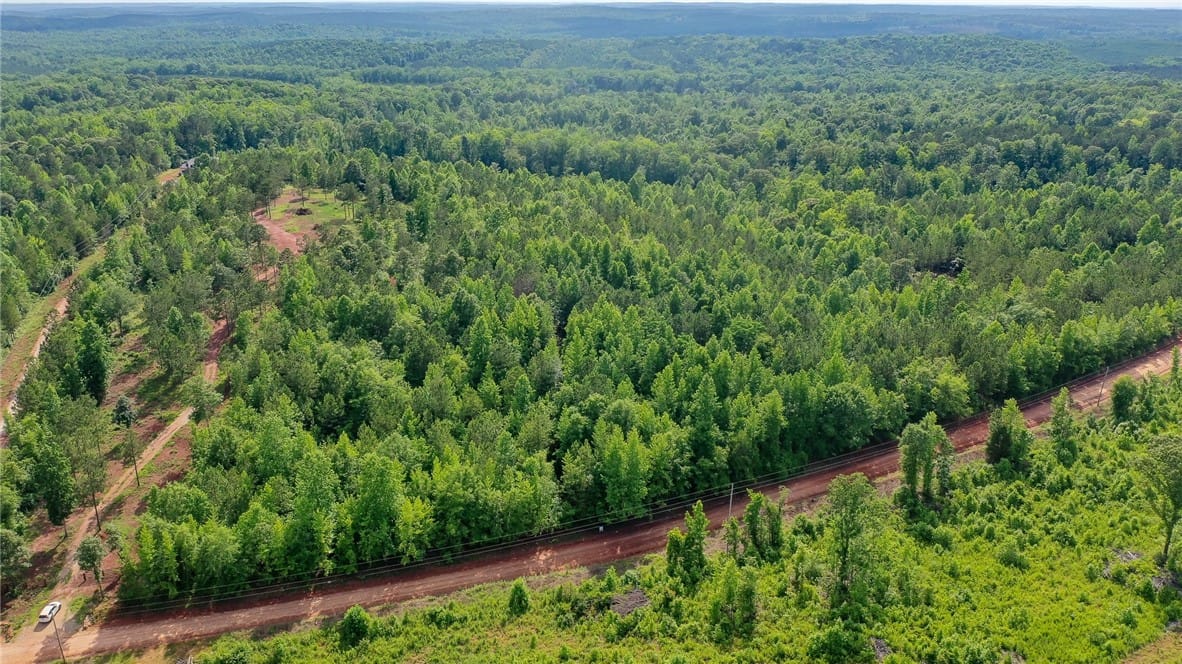 0 COUNTY ROAD 78, Waverly, AL, 36879 — Photo 2