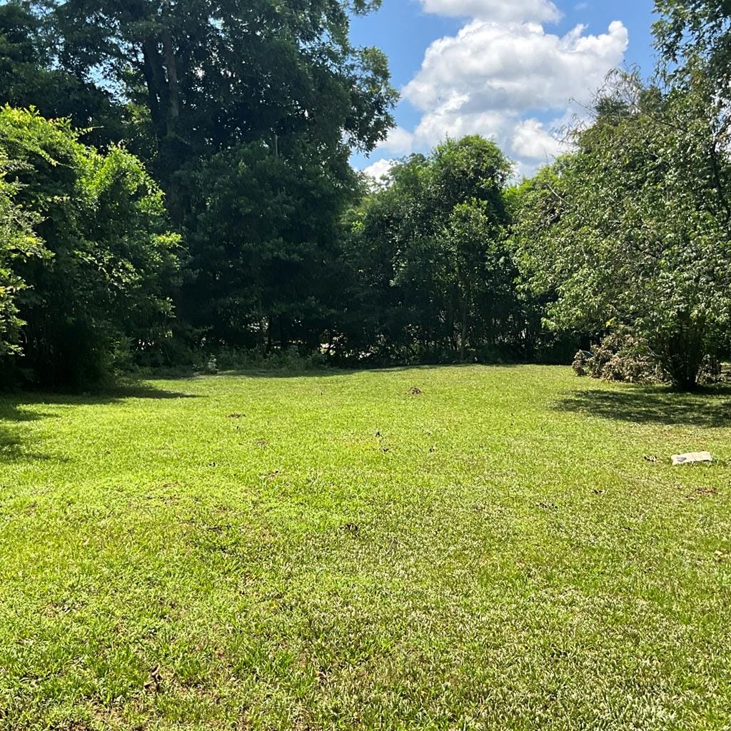 216 Humber Ave, Lumpkin, GA 31815