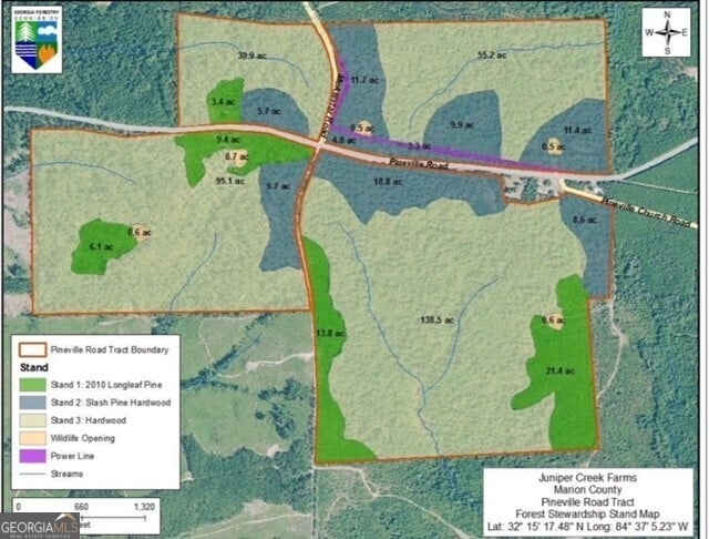 40+/- ACRES Pineville, Buena Vista, GA, 31803