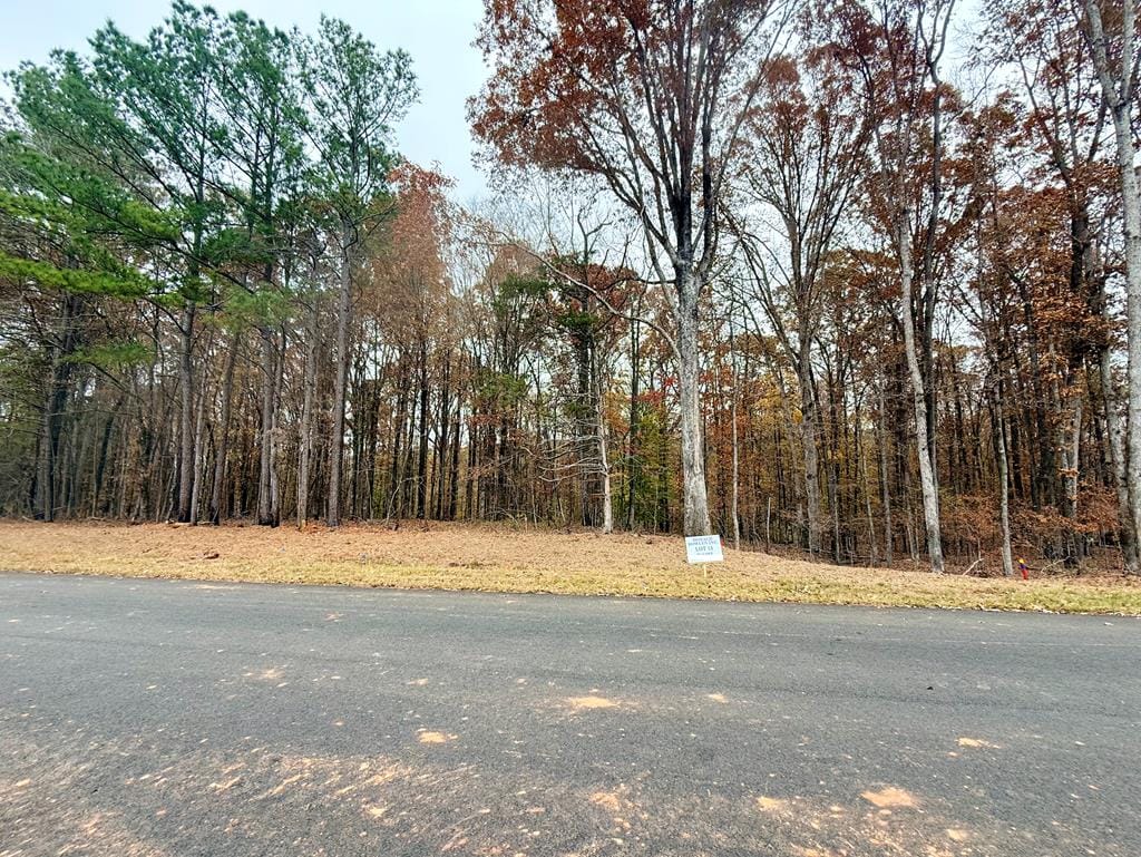 13 Rolling Meadows Way, Waverly Hall, GA, 31831