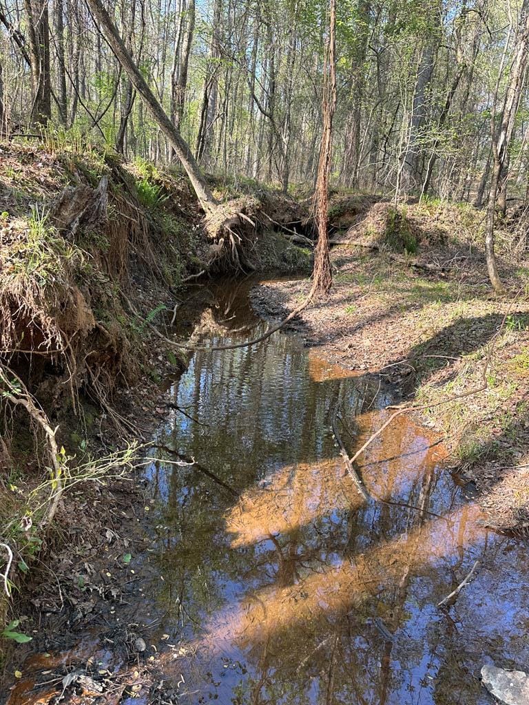 Lot 19 Highway 0085, Waverly Hall, GA, 31831 — Photo 2