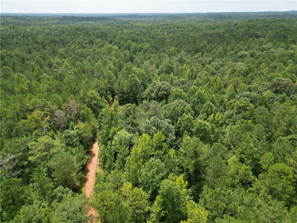 0 COUNTY ROAD 648, Waverly, AL, 36879 — Photo 2