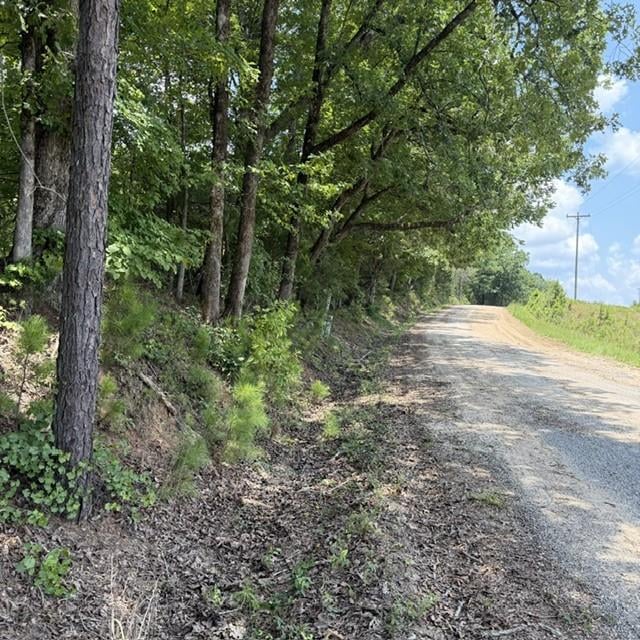 80.61 acres Howard Neal Road, Junction City, GA, 31812