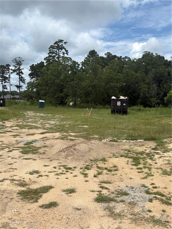 Lot 11 Lee Road 219, Phenix City, AL, 36870