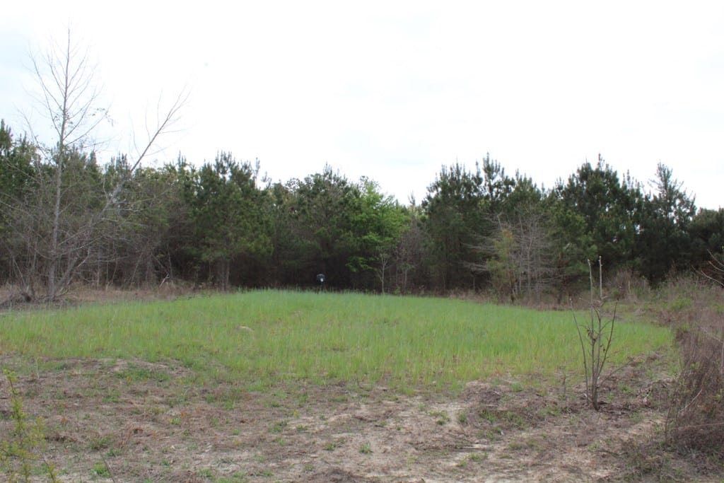 95 Herman Bell Road, Mauk, GA, 31058
