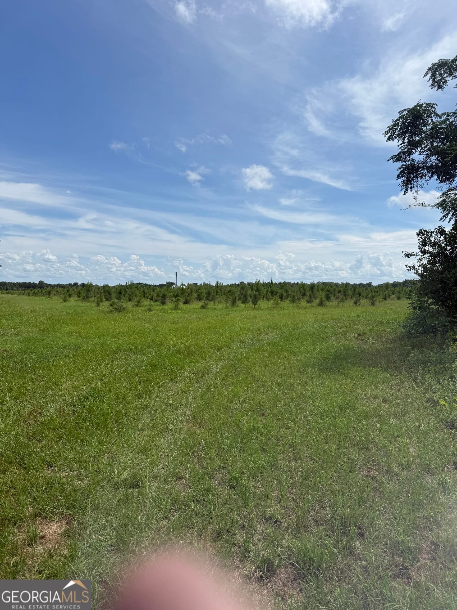 4276 County Line Rd, Lumpkin, GA 31815