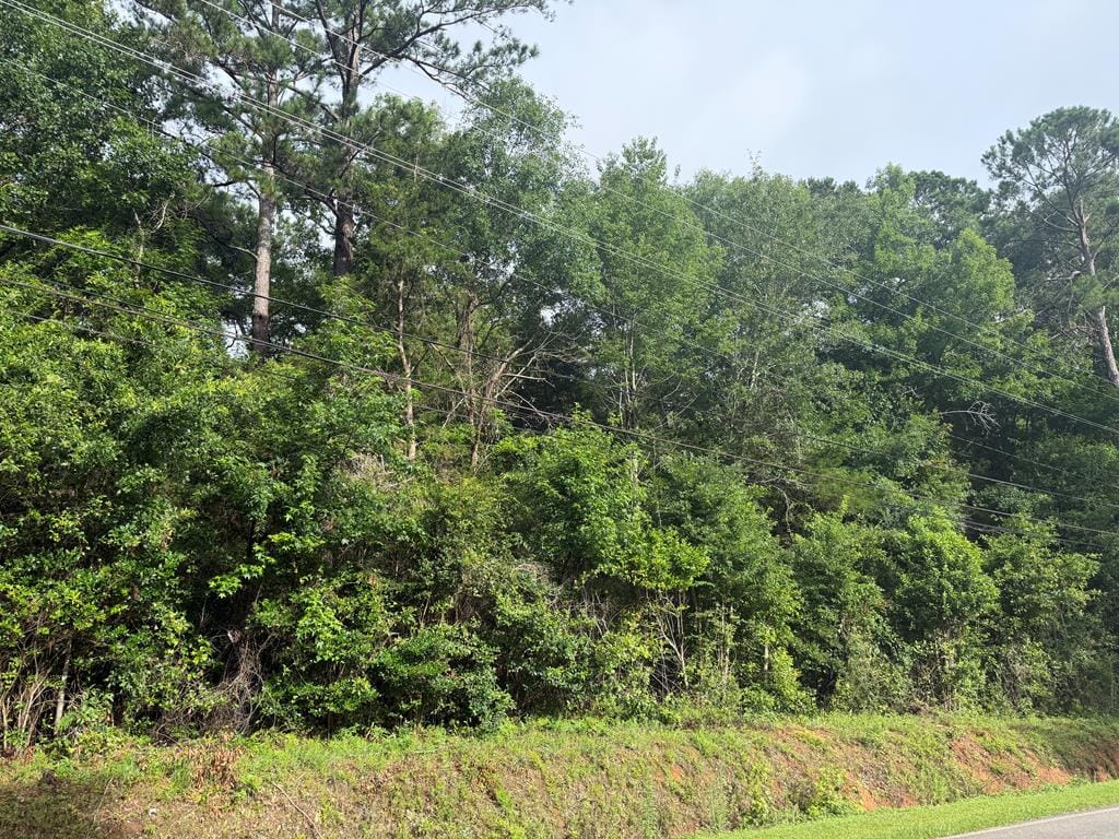 -- Flower Dr, Blakely, GA, 39823