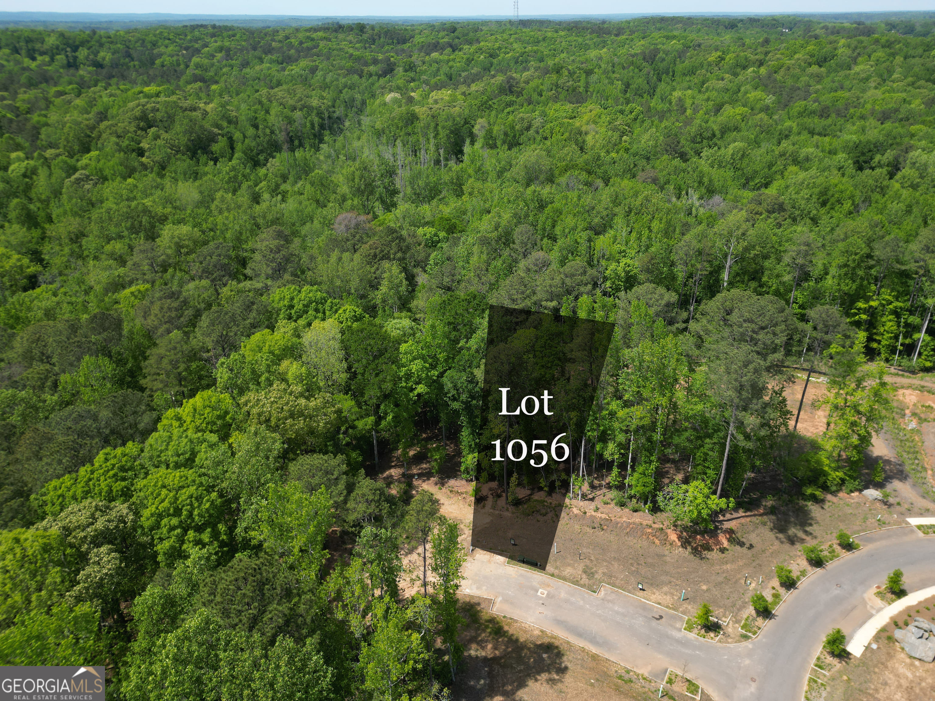 1011 Epple, Chattahoochee Hills, GA, 30268