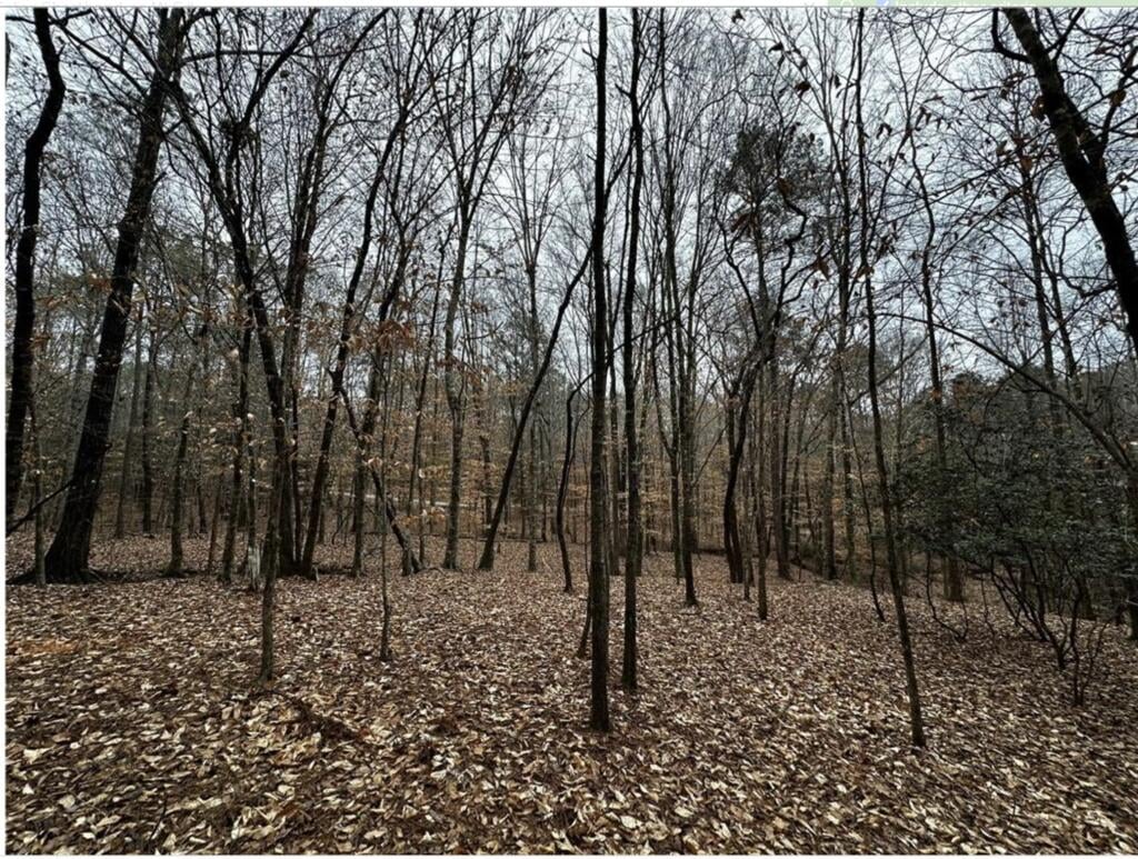 0 Lee Rd 367, Salem, AL 36874, USA, Main View