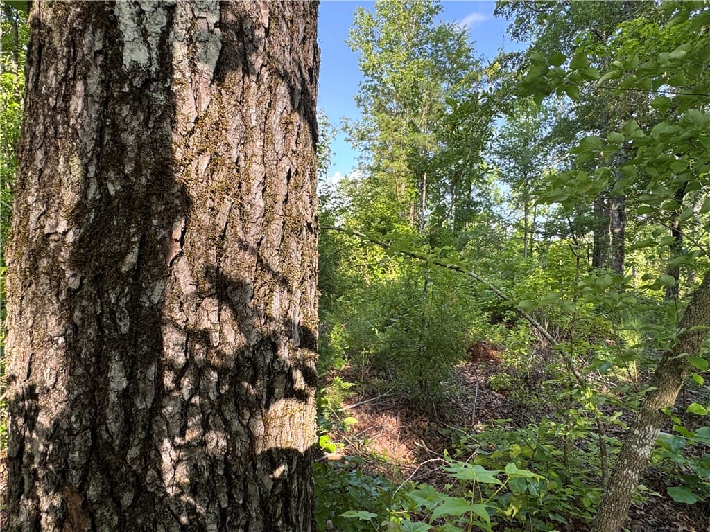 0 TRIMBLE, Camp Hill, AL, 36850 — Photo 2