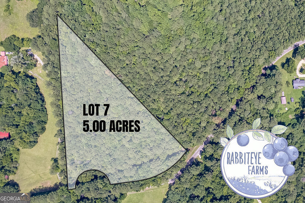 7 Haynes Rd, Moreland, GA 30259