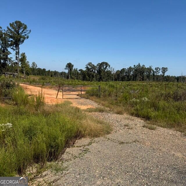76 +/- ACRES ON Gibson, Talbotton, GA, 31827