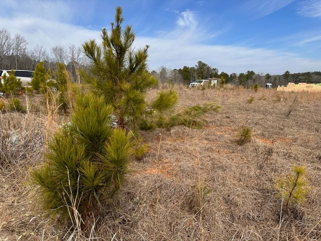 4554 Mountain Ivy Dr, Fortson, GA 31808