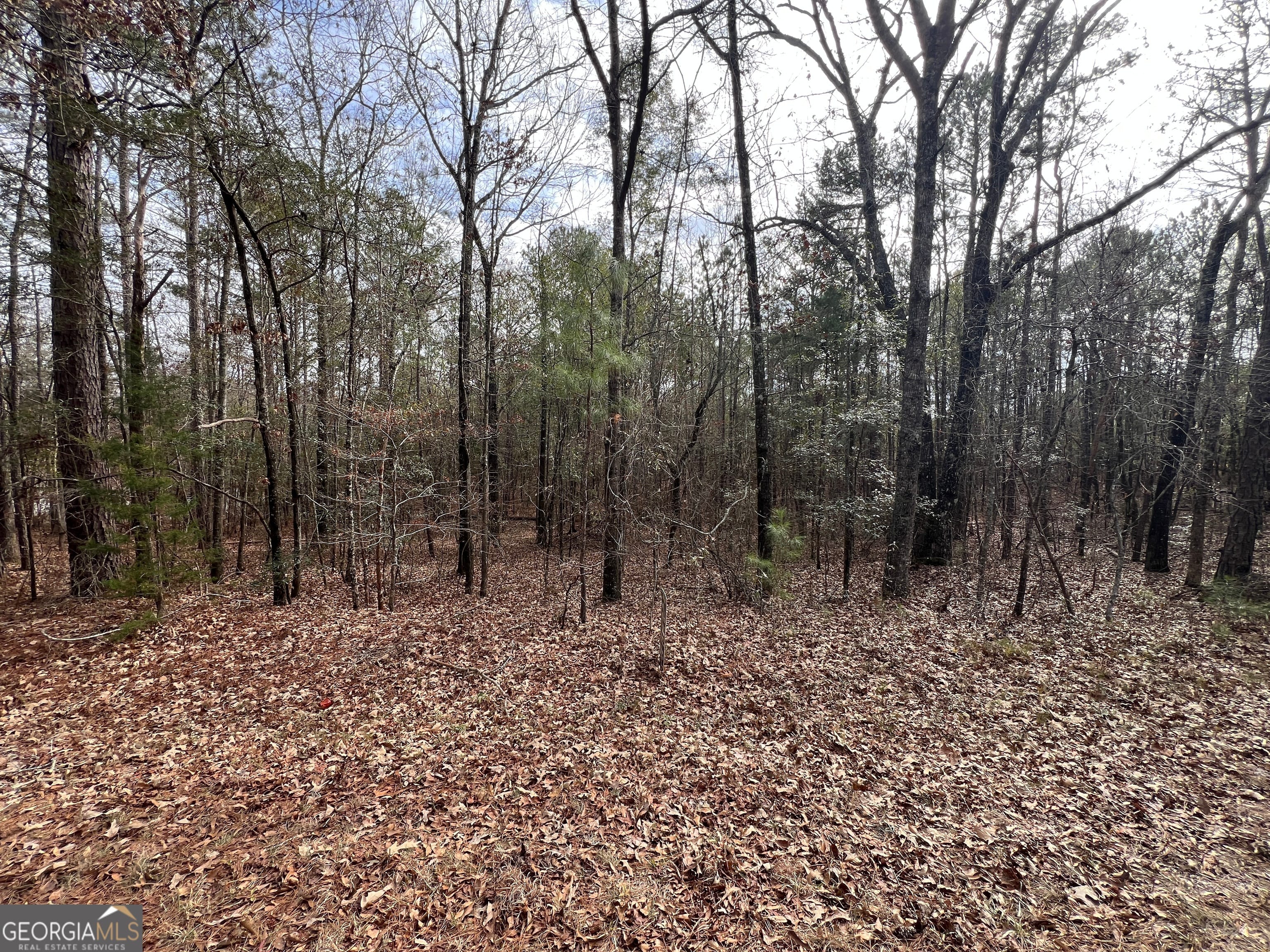 0 Floyd, Pine Mountain, GA, 31822