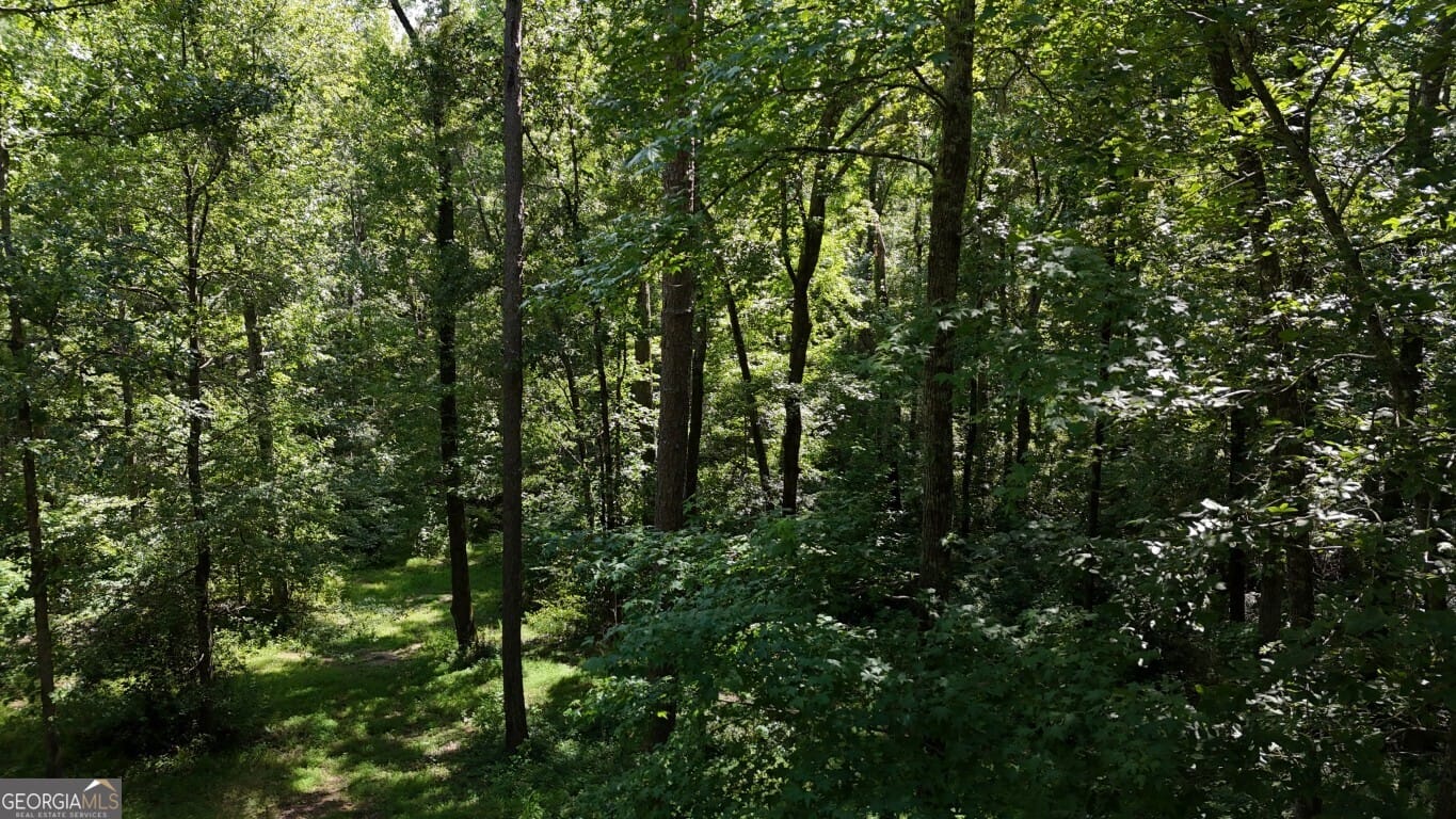 115-LOT 101/ PA Shoal Creek Dr, Sharpsburg, GA, 30277