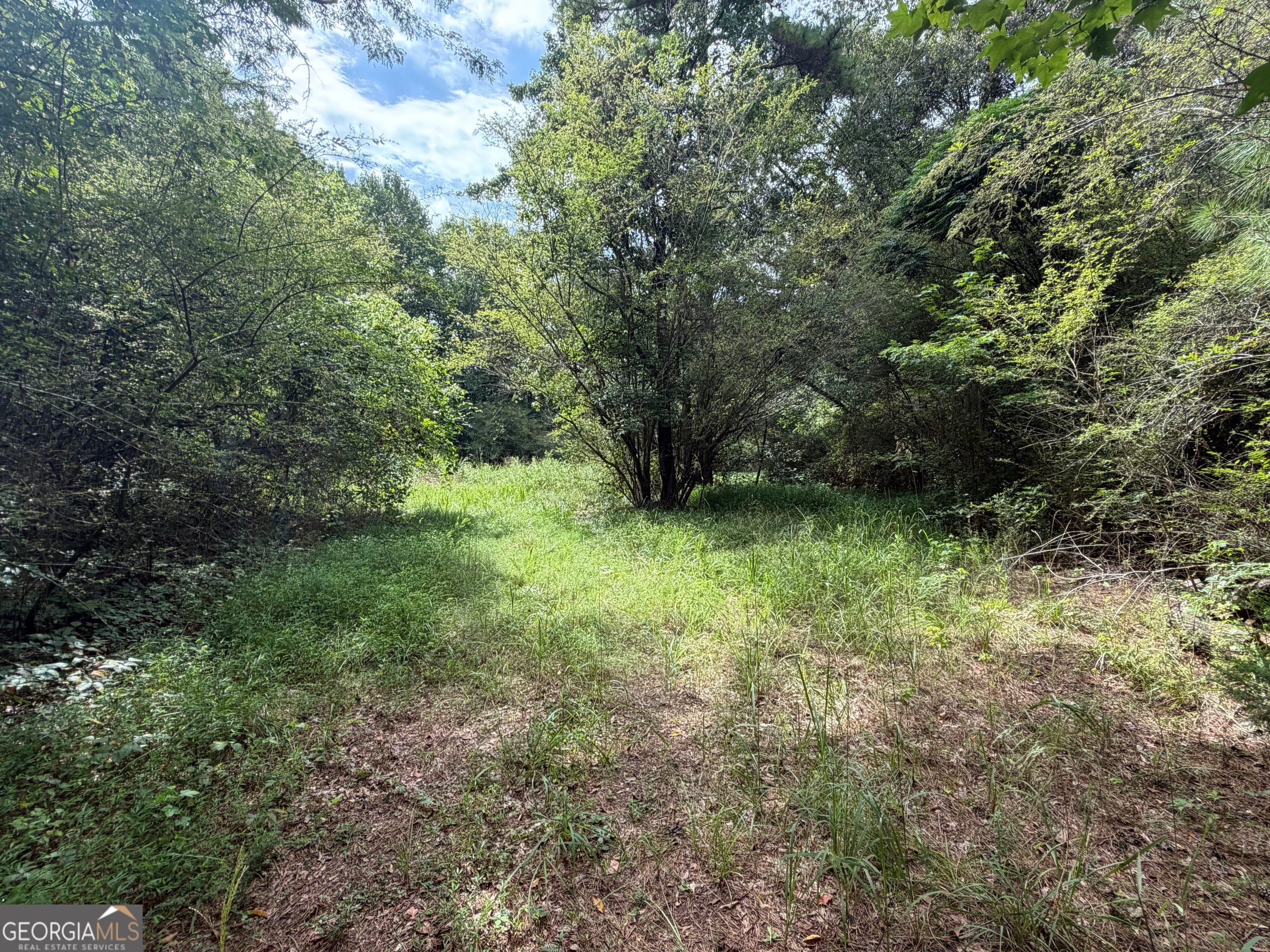 0 County Road 82, Newell, AL, 36280