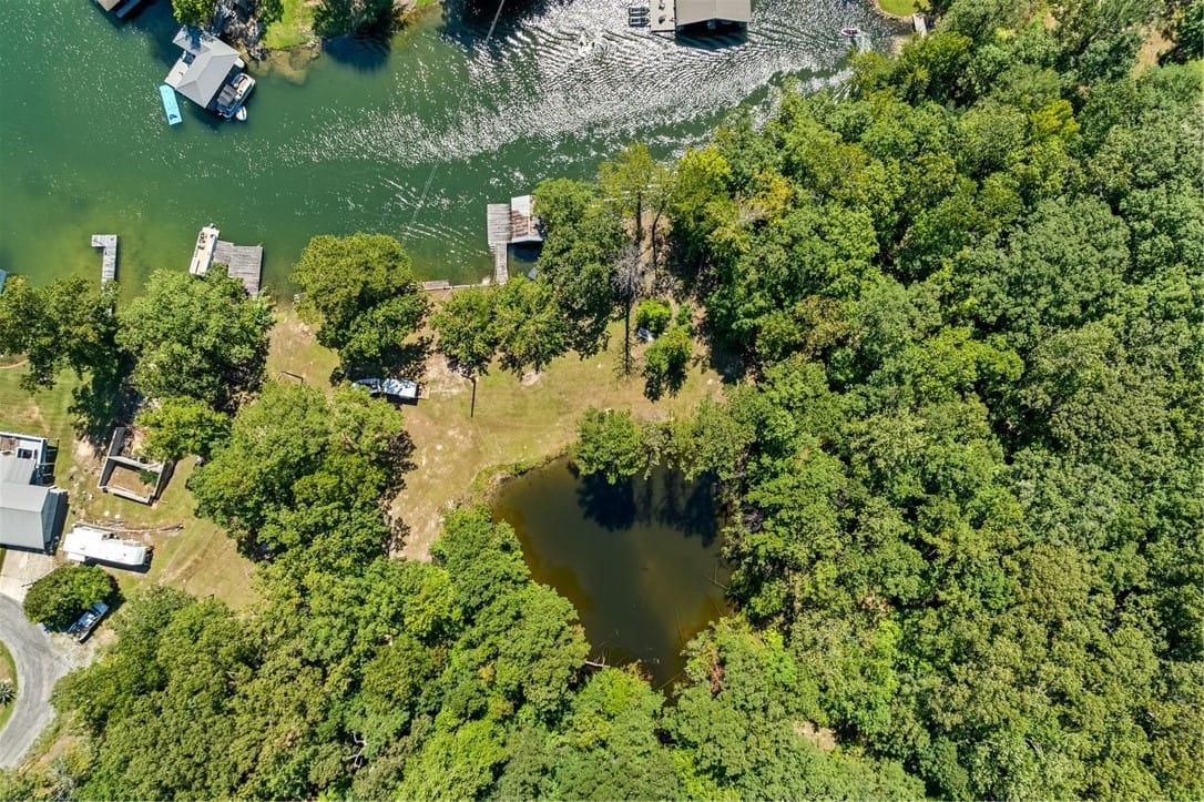 0 Lakeview Drive, Eclectic, AL, 36024 — Photo 3