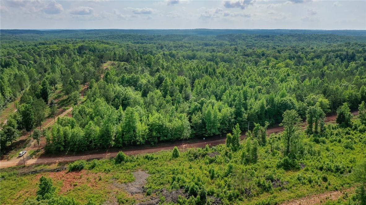 0 COUNTY ROAD 78, Waverly, AL, 36879