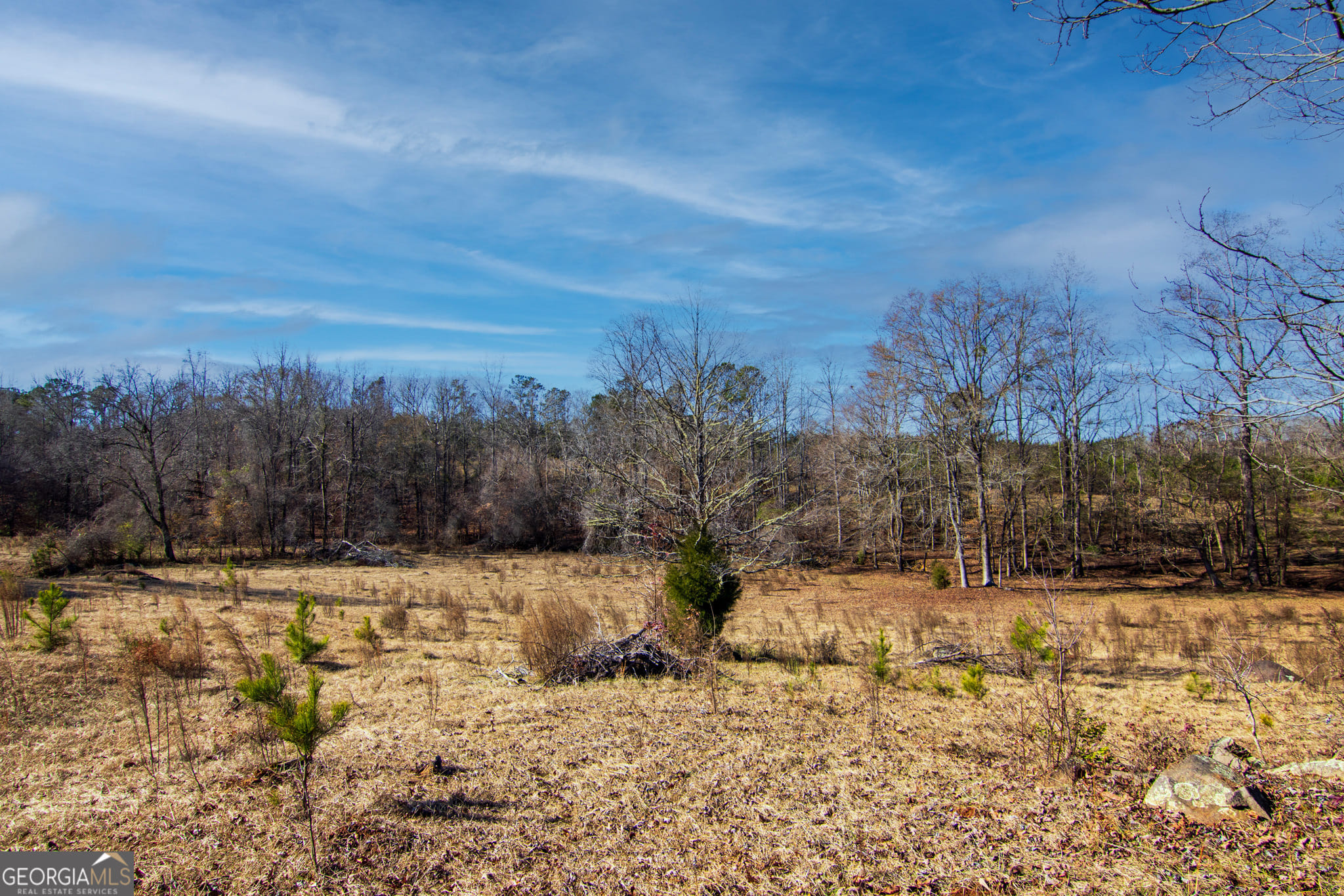 TRACT 2 - 0 ST. PAUL CHURCH, Shiloh, GA, 31826