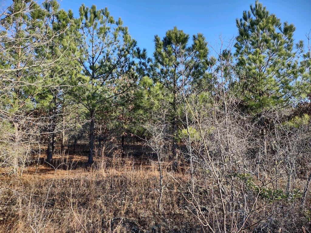 00 Jordan Road, Buena Vista, GA, 31803